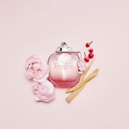 Coach Women Floral Blush Eau de Parfum