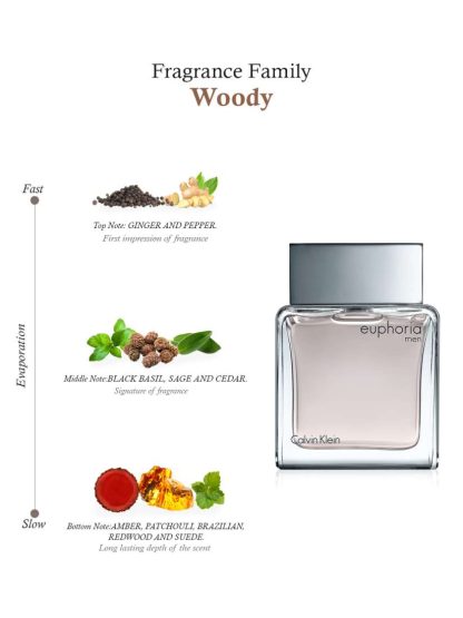 Calvin Klein Euphoria for Men